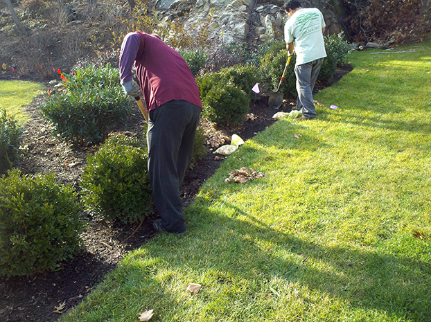 Gerbert & Sons landscapers planting for spring.