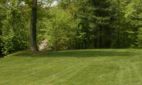 Lawn Care Strategies and Aquarion Water Co. Update