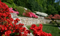 Seasonal Gardener for Busy Landscape and Irrigation Company