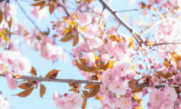 Spring Ahead with Protection for Your Property & Family